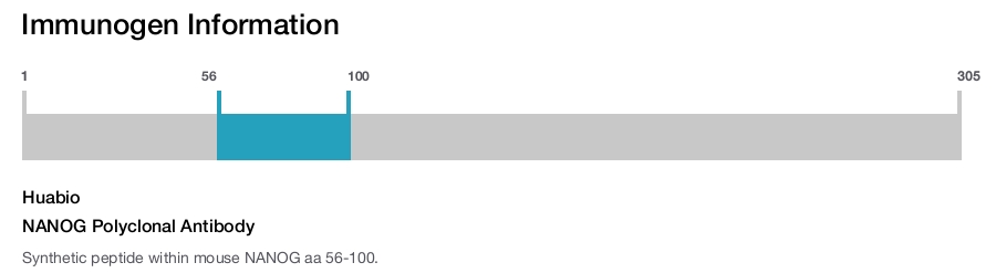 NANOG Polyclonal Antibody