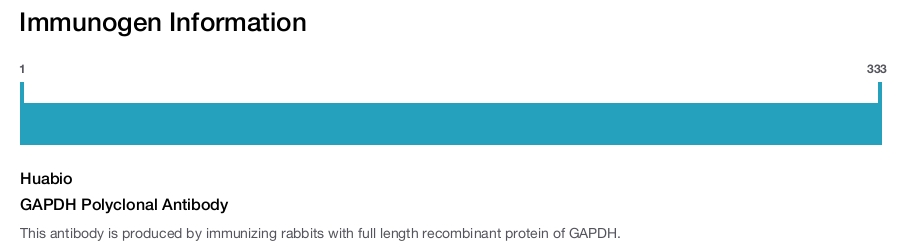 GAPDH Polyclonal Antibody