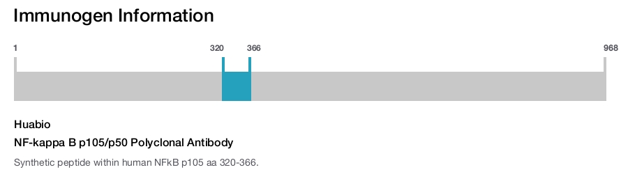 NF-kappa B p105/p50 Polyclonal Antibody