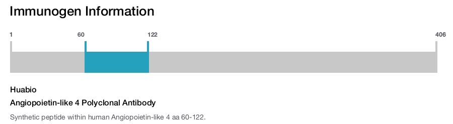 Angiopoietin-like 4 Polyclonal Antibody