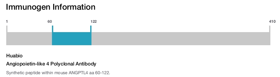 Angiopoietin-like 4 Polyclonal Antibody