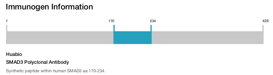SMAD3 Polyclonal Antibody
