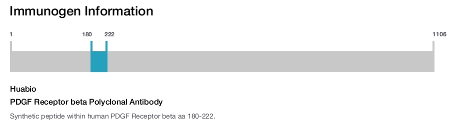 PDGF Receptor beta Polyclonal Antibody