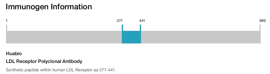 LDL Receptor Polyclonal Antibody