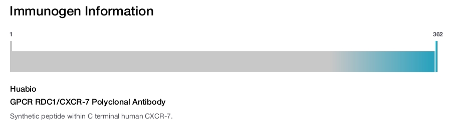 GPCR RDC1/CXCR-7 Polyclonal Antibody