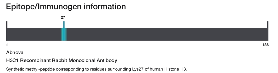 H3C1 Recombinant Rabbit Monoclonal Antibody