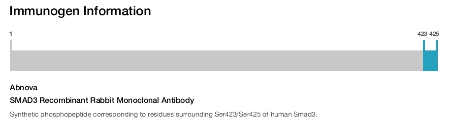 SMAD3 Recombinant Rabbit Monoclonal Antibody