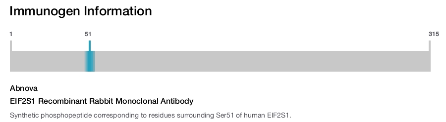 EIF2S1 Recombinant Rabbit Monoclonal Antibody