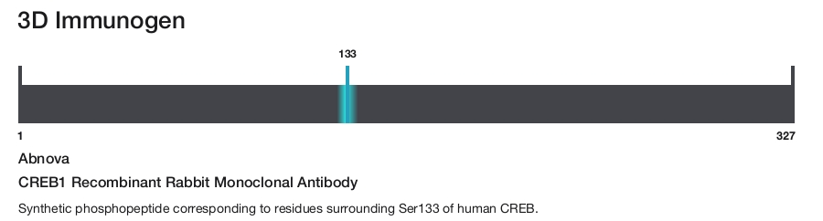 CREB1 Recombinant Rabbit Monoclonal Antibody