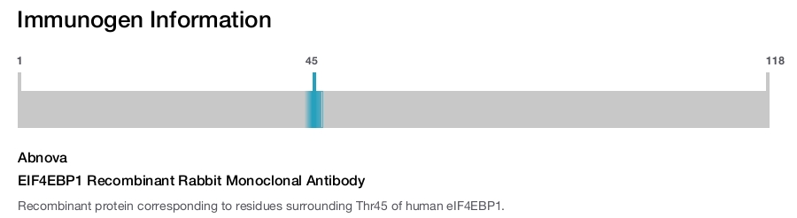 EIF4EBP1 Recombinant Rabbit Monoclonal Antibody