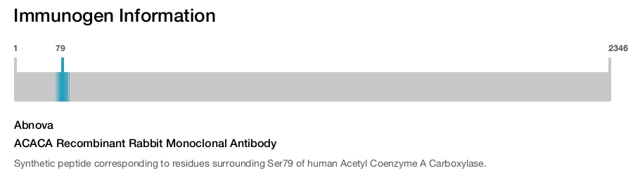 ACACA Recombinant Rabbit Monoclonal Antibody
