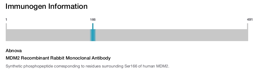 MDM2 Recombinant Rabbit Monoclonal Antibody