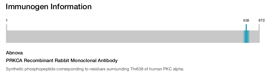 PRKCA Recombinant Rabbit Monoclonal Antibody