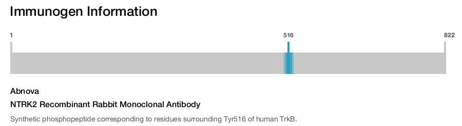 NTRK2 Recombinant Rabbit Monoclonal Antibody