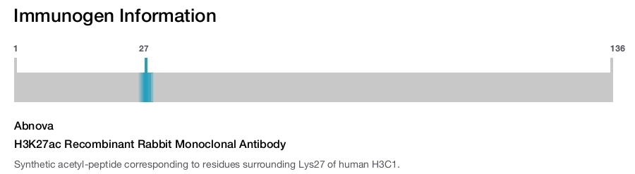 H3K27ac Recombinant Rabbit Monoclonal Antibody