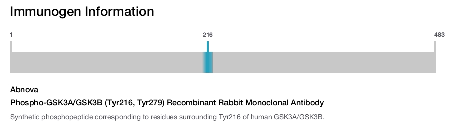 Phospho-GSK3A/GSK3B (Tyr216, Tyr279) Recombinant Rabbit Monoclonal Antibody