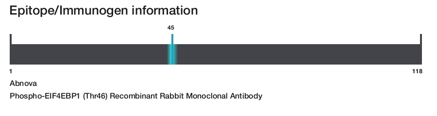 Phospho-EIF4EBP1 (Thr46) Recombinant Rabbit Monoclonal Antibody