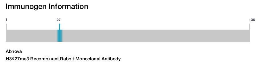 H3K27me3 Recombinant Rabbit Monoclonal Antibody