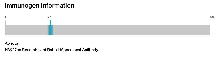H3K27ac Recombinant Rabbit Monoclonal Antibody