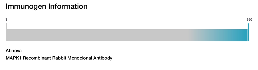MAPK1 Recombinant Rabbit Monoclonal Antibody