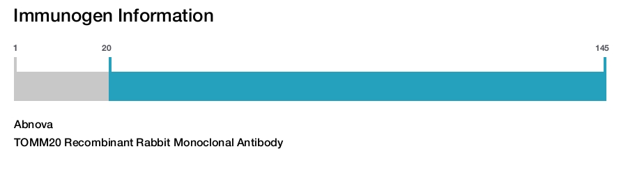 TOMM20 Recombinant Rabbit Monoclonal Antibody