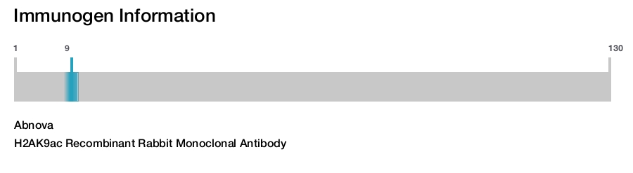 H2AK9ac Recombinant Rabbit Monoclonal Antibody