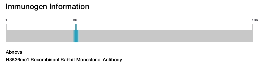 H3K36me1 Recombinant Rabbit Monoclonal Antibody
