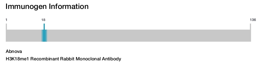 H3K18me1 Recombinant Rabbit Monoclonal Antibody