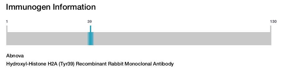Hydroxyl-Histone H2A (Tyr39) Recombinant Rabbit Monoclonal Antibody