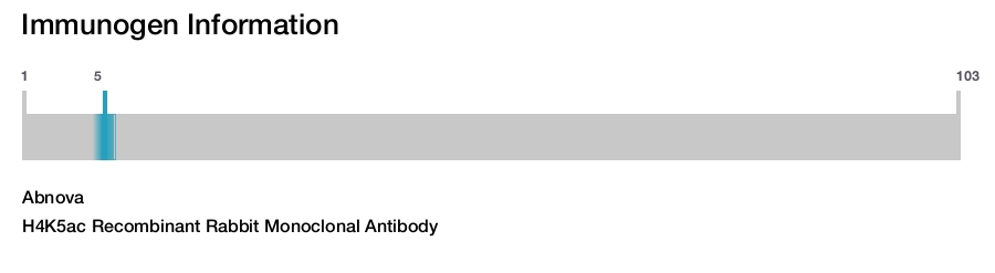 H4K5ac Recombinant Rabbit Monoclonal Antibody