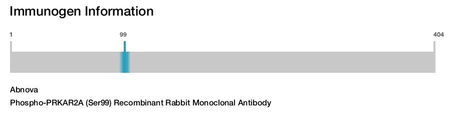Phospho-PRKAR2A (Ser99) Recombinant Rabbit Monoclonal Antibody