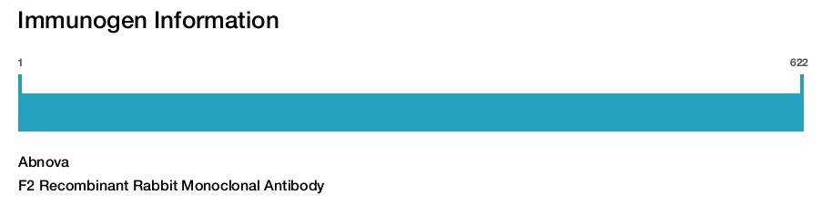 F2 Recombinant Rabbit Monoclonal Antibody