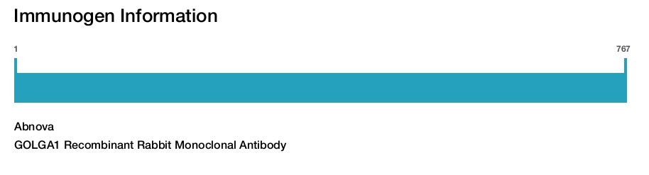 GOLGA1 Recombinant Rabbit Monoclonal Antibody