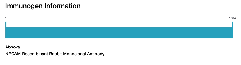 NRCAM Recombinant Rabbit Monoclonal Antibody