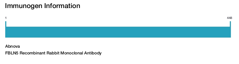 FBLN5 Recombinant Rabbit Monoclonal Antibody