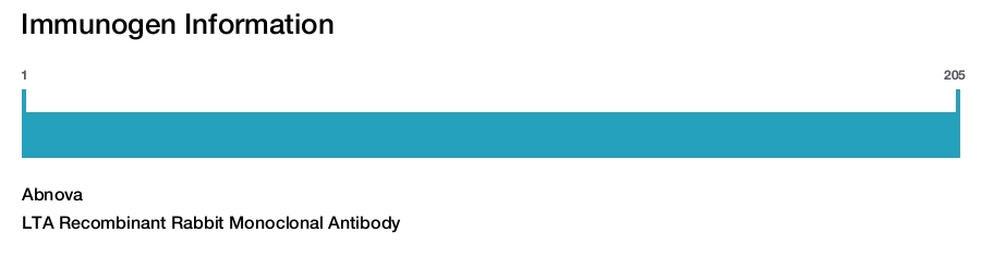 LTA Recombinant Rabbit Monoclonal Antibody