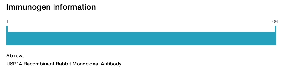 USP14 Recombinant Rabbit Monoclonal Antibody