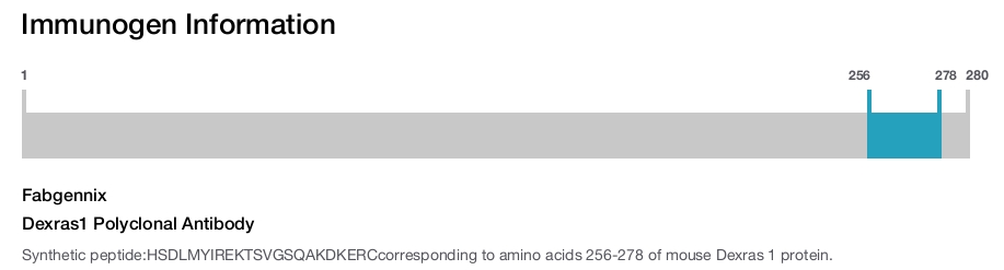 Dexras1 Polyclonal Antibody