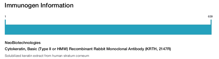 Cytokeratin, Basic (Type II or HMW) Recombinant Rabbit Monoclonal Antibody (KRTH, 2147R)