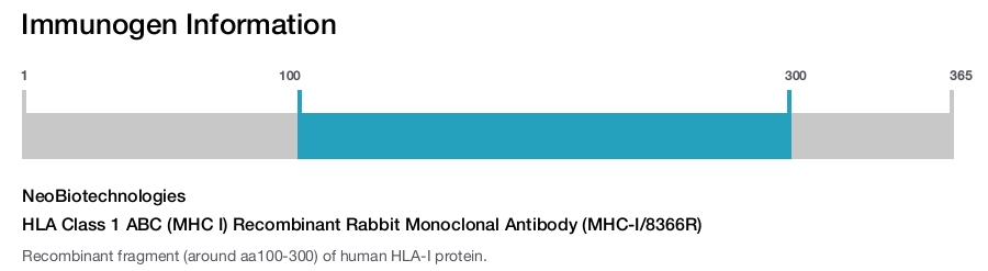 HLA Class 1 ABC (MHC I) Recombinant Rabbit Monoclonal Antibody (MHC-I/8366R)