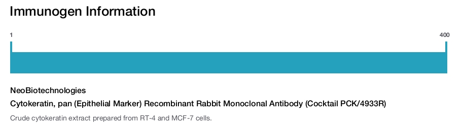Cytokeratin, pan (Epithelial Marker) Recombinant Rabbit Monoclonal Antibody (Cocktail PCK/4933R)