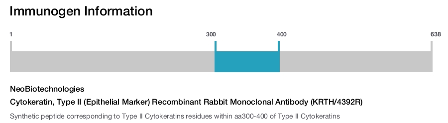 Cytokeratin, Type II (Epithelial Marker) Recombinant Rabbit Monoclonal Antibody (KRTH/4392R)