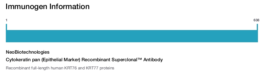 Cytokeratin pan (Epithelial Marker) Recombinant Superclonal&trade; Antibody