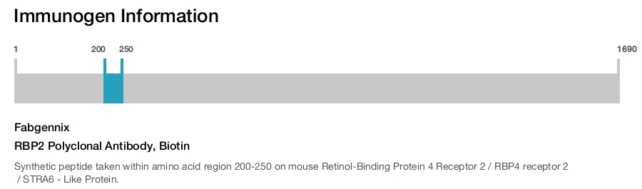 RBP2 Polyclonal Antibody, Biotin