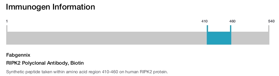 RIPK2 Polyclonal Antibody, Biotin