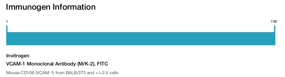 VCAM-1 Monoclonal Antibody (M/K-2), FITC
