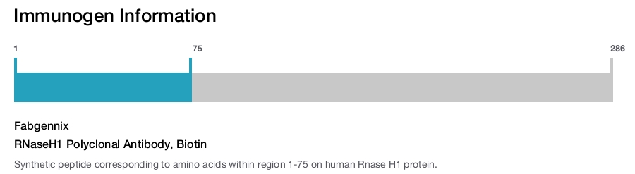 RNaseH1 Polyclonal Antibody, Biotin
