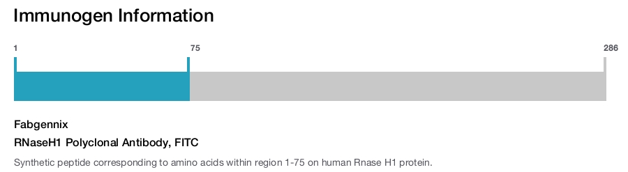 RNaseH1 Polyclonal Antibody, FITC