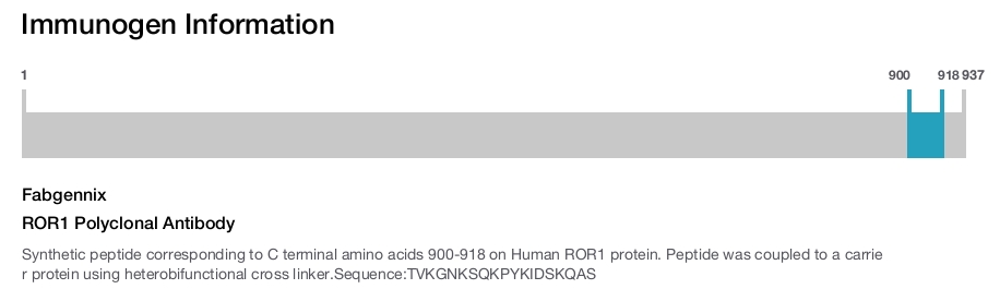 ROR1 Polyclonal Antibody