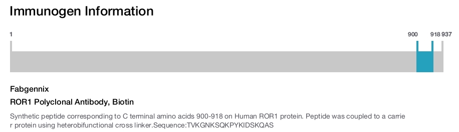 ROR1 Polyclonal Antibody, Biotin